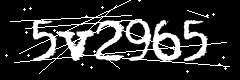 图形验证码