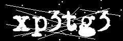 图形验证码